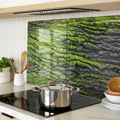 Szklana deska kuchenna Zielona kora drzewa