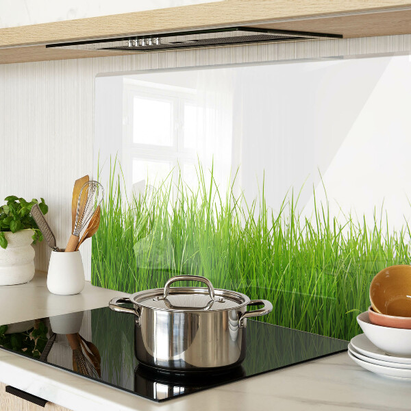 Szklana deska kuchenna Trawa w słońcu
