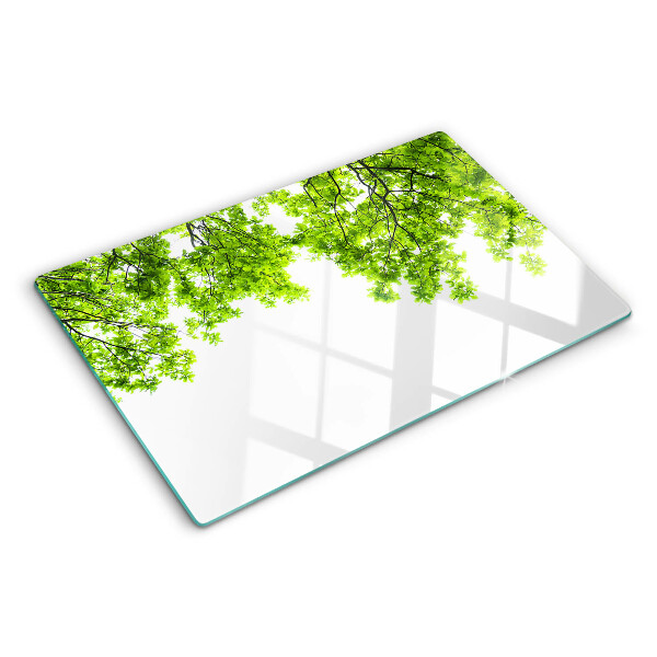 Tabla de cocina Hojas verdes contra el cielo