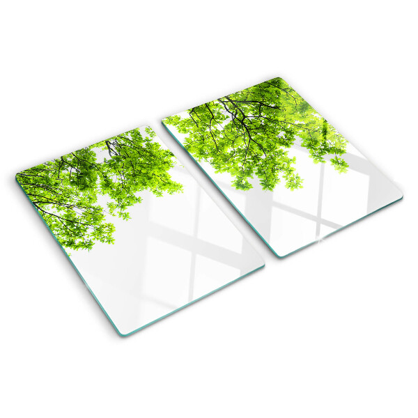 Tabla de cocina Hojas verdes contra el cielo