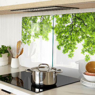 Tabla de cocina Hojas verdes contra el cielo