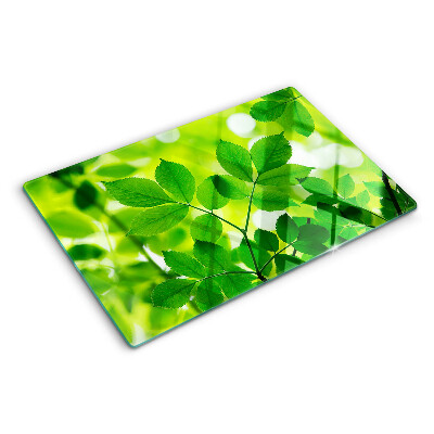 Tabla de cortar Hojas sobre un fondo verde