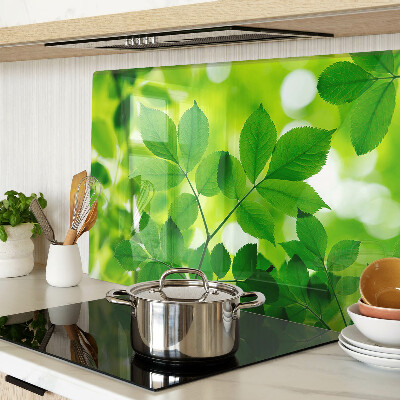 Tabla de cortar Hojas sobre un fondo verde