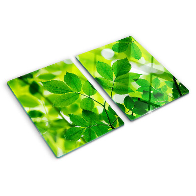 Tabla de cortar Hojas sobre un fondo verde