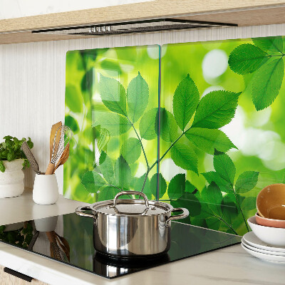 Tabla de cortar Hojas sobre un fondo verde