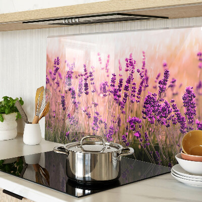 Tabla de cocina Campo de lavanda bajo el sol