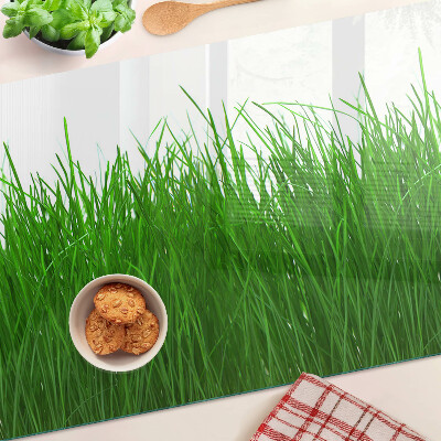 Szklana deska kuchenna Trawa w słońcu