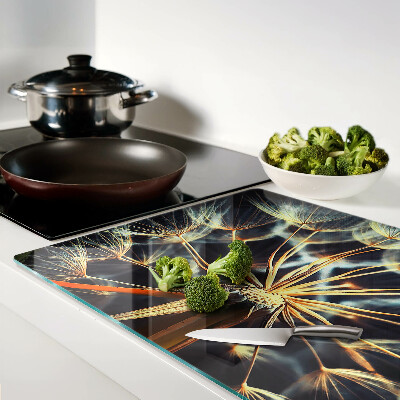 Szklana deska kuchenna Dmuchawce w makrofotografii