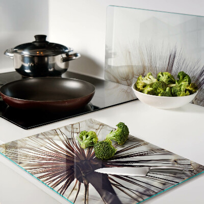 Szklana deska kuchenna Dmuchawce w świetle