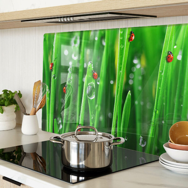 Szklana deska do krojenia Krople wody na trawie z biedronkami