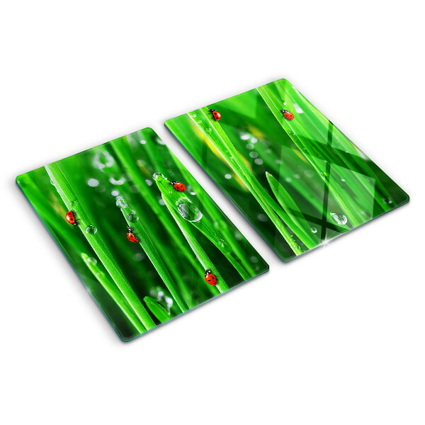 Tabla de cocina Gotas de agua sobre el césped con mariquitas