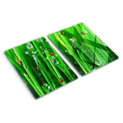 Tabla de cocina Gotas de agua sobre el césped con mariquitas