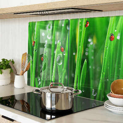 Tabla de cocina Gotas de agua sobre el césped con mariquitas