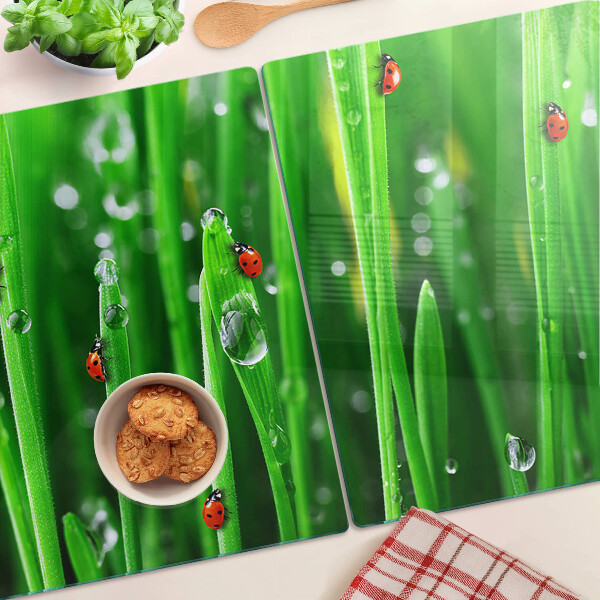 Tabla de cocina Gotas de agua sobre el césped con mariquitas