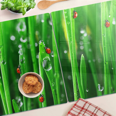 Tabla de cocina Gotas de agua sobre el césped con mariquitas