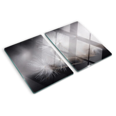 Tabla de cocina Dientes de león esponjosos contra el fondo de la ventana