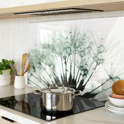 Szklana deska kuchenna Dmuchawce z kroplami wody