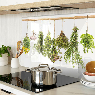 Szklana deska kuchenna Zioła w wiszących pęczkach