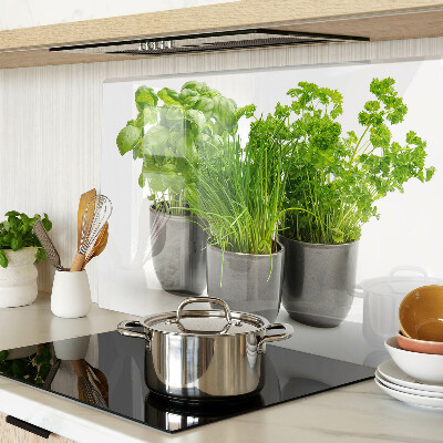 Tabla para cortar Hierbas en macetas