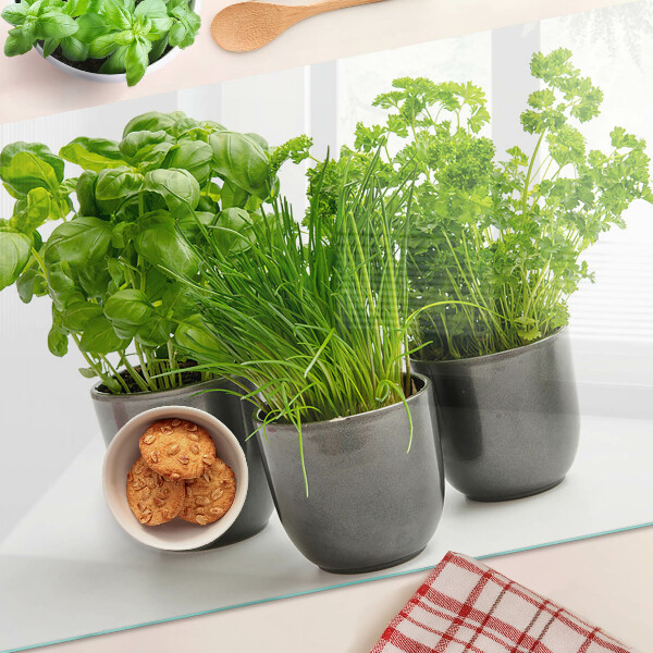 Tabla para cortar Hierbas en macetas