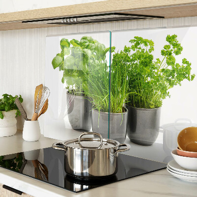 Szklana deska kuchenna Zioła w doniczkach