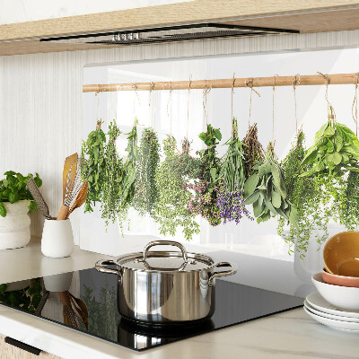 Szklana deska kuchenna Suszone zioła na sznurku