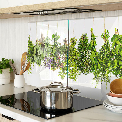 Szklana deska kuchenna Zioła w wiszących doniczkach