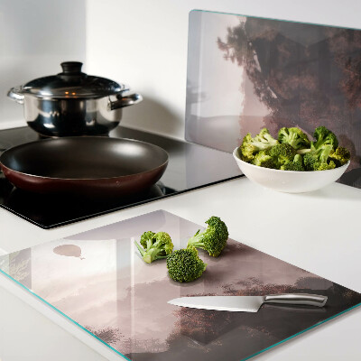 Szklana deska kuchenna Balon na gorące powietrze nad krajobrazem