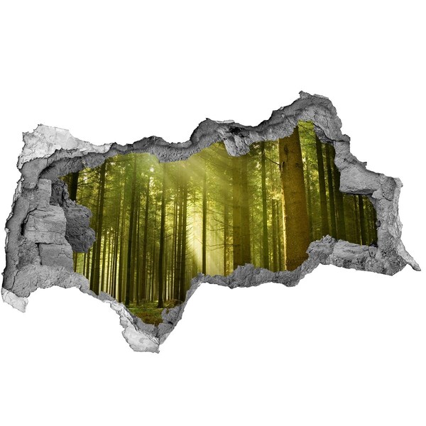 Fotomural autoadhesivo efecto agujero 3d Bosque verde por la mañana