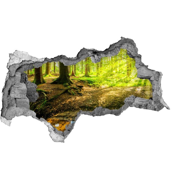 Vinilo adhesivo boquete en la pared rota Bosque verde con un arroyo