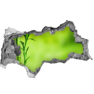 Pegatina decorativa agujero en la pared 3d Un oasis verde detrás del muro