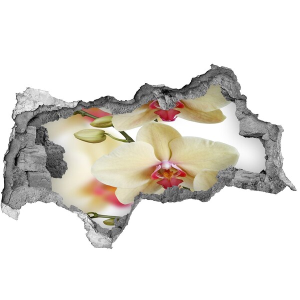 Fototapeta naklejka na ścianę Orchidee w rozbitej ścianie