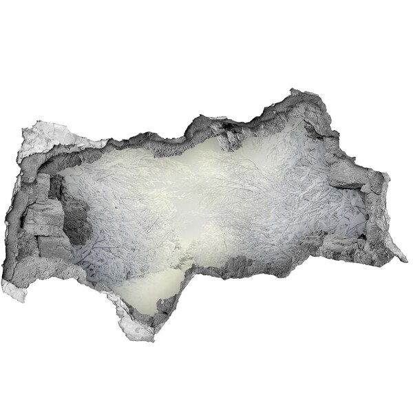 Fotomural autoadhesivo efecto agujero 3d Paisaje invernal detrás del muro