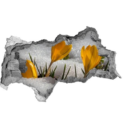 Fotomural autoadhesivo efecto agujero 3d Flores de primavera en la nieve