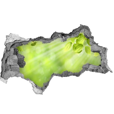 Samoprzylepna naklejka fototapeta Zielony raj za ścianą