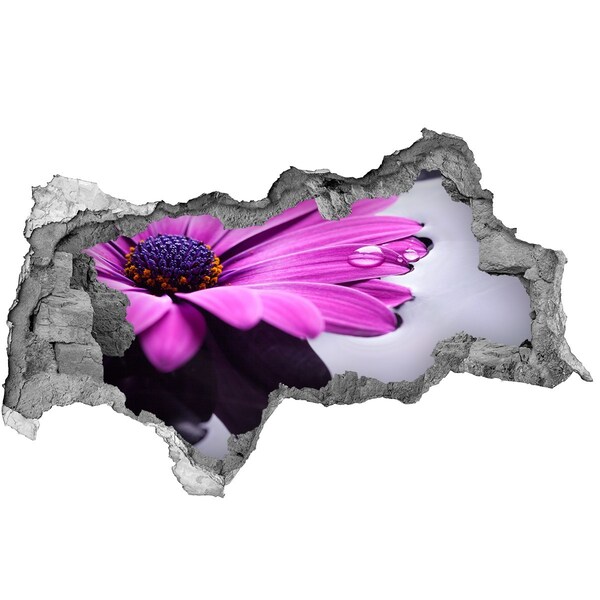 Fotomural autoadhesivo efecto agujero 3d Un oasis floral detrás del muro