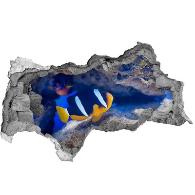 Dziura 3d fototapeta naklejka Podwodny świat rafy koralowej