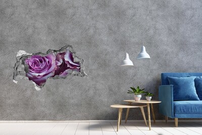 Pegatina decorativa agujero en la pared 3d Rosas en hormigón