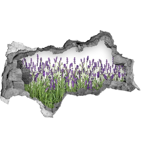 Pegatina decorativa agujero en la pared 3d Oasis floral de lavanda