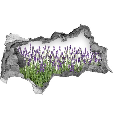 Pegatina decorativa agujero en la pared 3d Oasis floral de lavanda