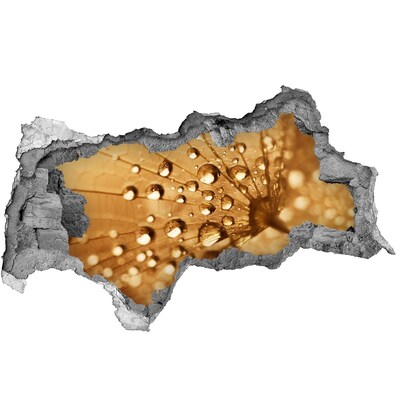 Pegatina decorativa agujero en la pared 3d Gotas sobre una hoja