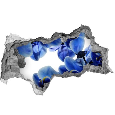 Fotomural autoadhesivo efecto agujero 3d Un paraíso de flores detrás del muro.