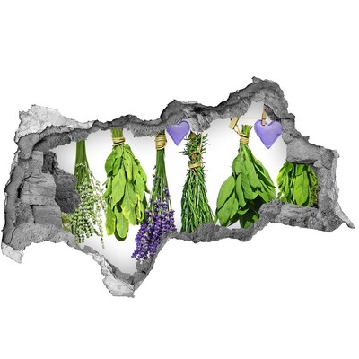 Pegatina decorativa agujero en la pared 3d Jardín de hierbas en un agujero en la pared