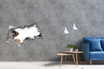 Fotomural autoadhesivo efecto agujero 3d Animales detrás del agujero en la pared.