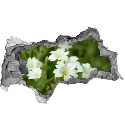 Fotomural autoadhesivo efecto agujero 3d Flores en un agujero en la pared