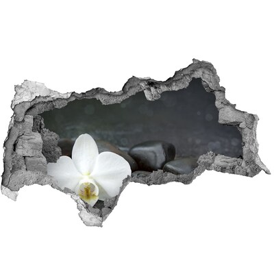 Vinilo efecto 3d pared rota irregular Flores y piedras contra el fondo del agua.