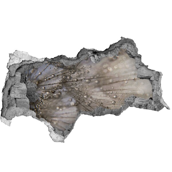 Vinilo adhesivo boquete en la pared rota Gotas de agua sobre el vidrio