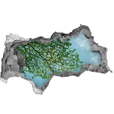 Dziura 3d w ścianie naklejka Zielone liście pod błękitnym niebem