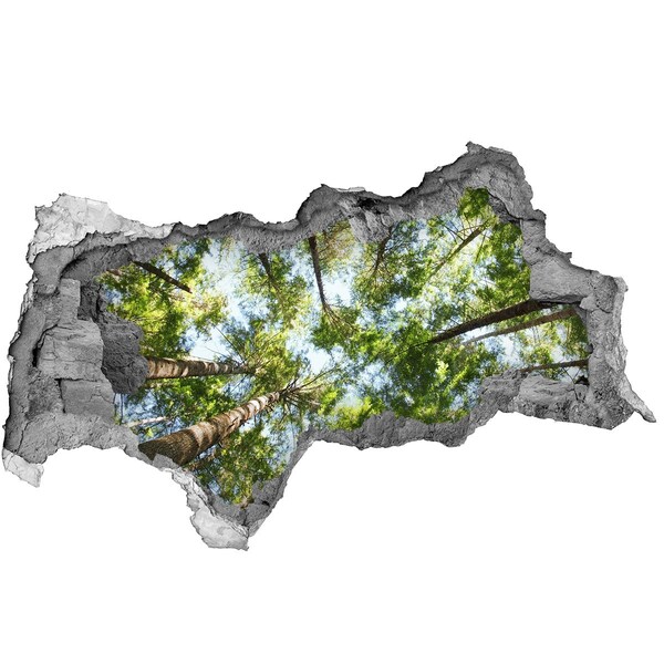 Dziura 3d w ścianie na ścianę Widok na las z niebieskim niebem
