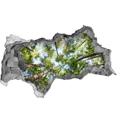 Vinilo adhesivo boquete en la pared rota Vista del bosque con cielo azul.